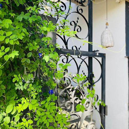 Ferienwohnung Casa Elsa Pipa Praia de Pipa Exterior foto