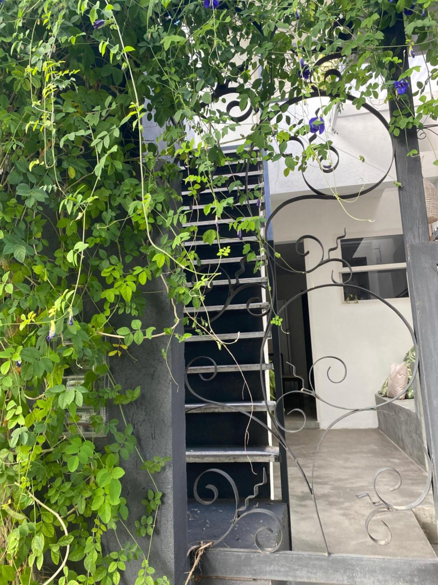 Ferienwohnung Casa Elsa Pipa Praia de Pipa Exterior foto